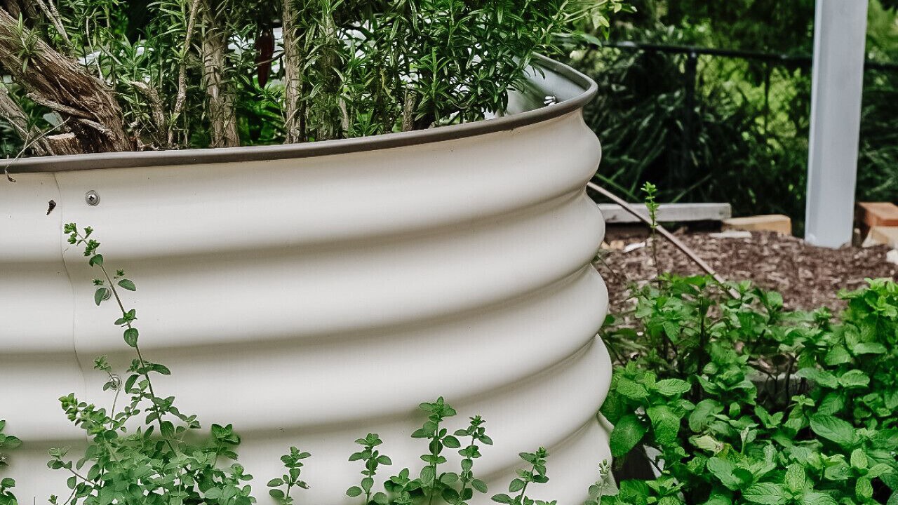 Photo of Outdoor in Bundeena