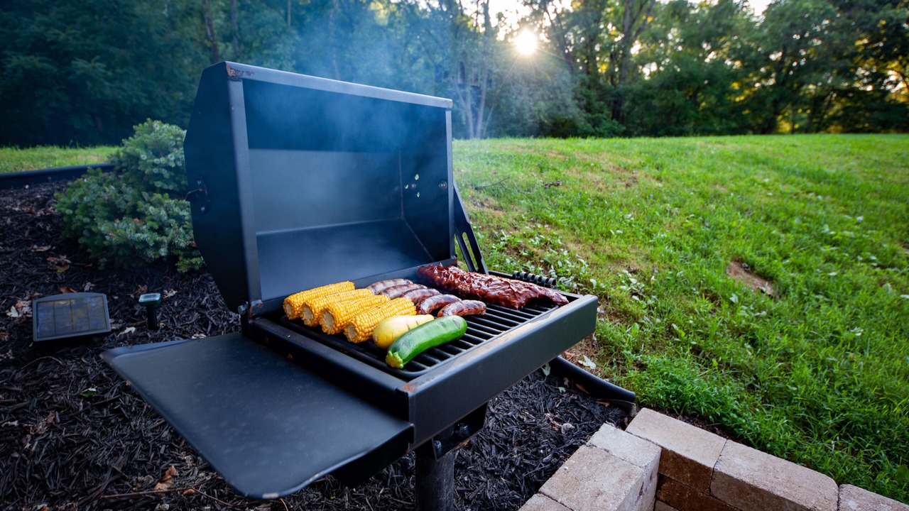 Photo of Outdoor in Delaplane