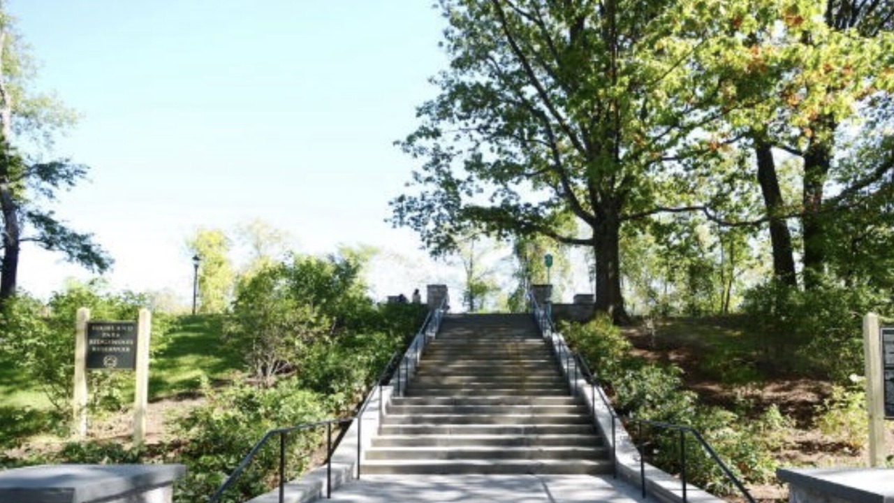 Photo of Outdoor in Cypress Hills