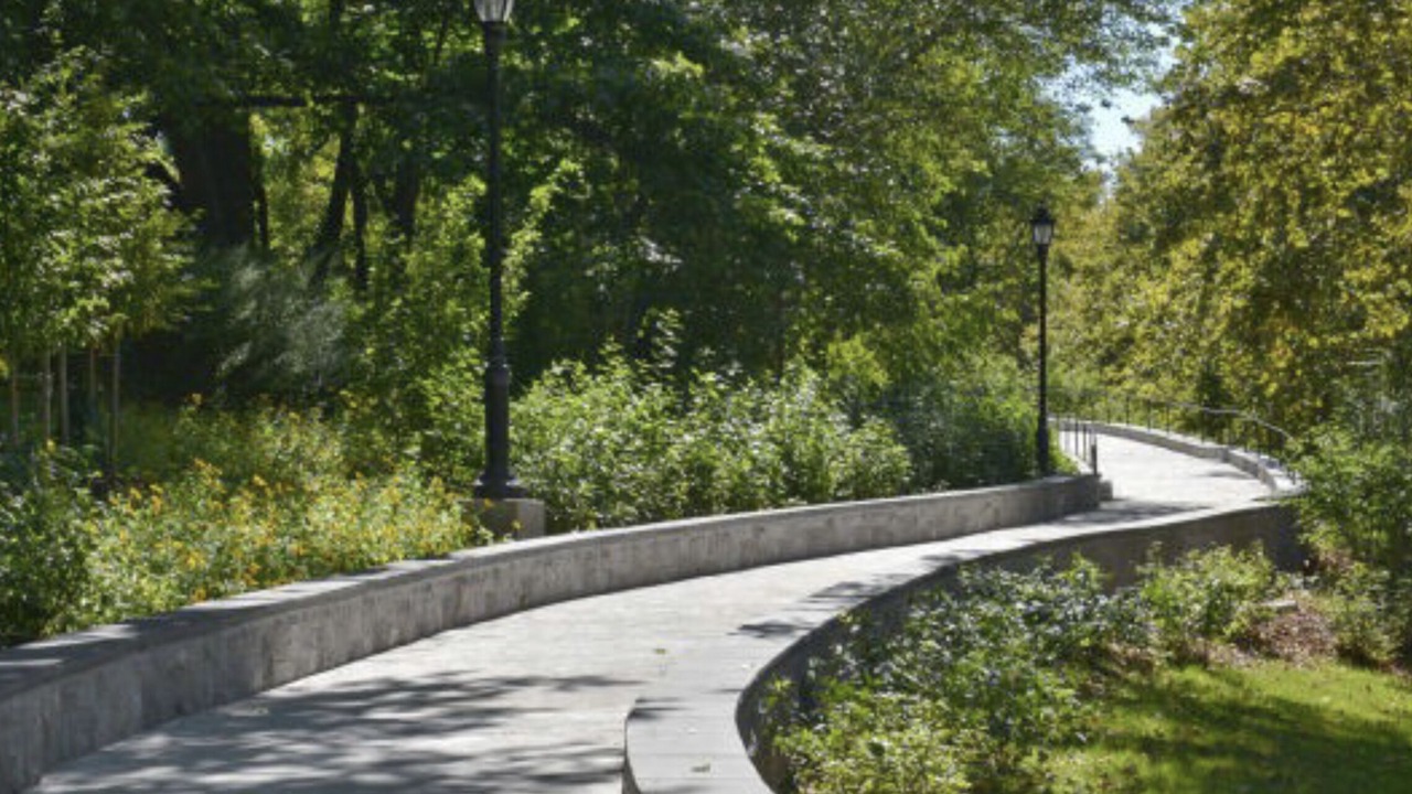 Photo of Outdoor in Cypress Hills