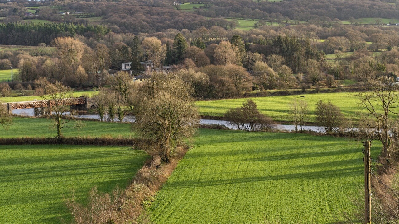 Photo of Others in Pentrefelin