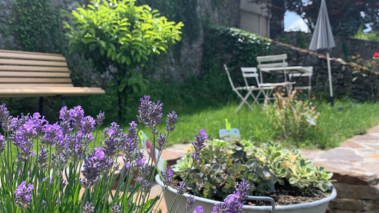 Photo of Outdoor in Albertville