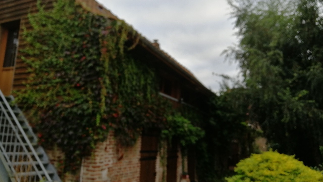 Photo of Outdoor in Renty