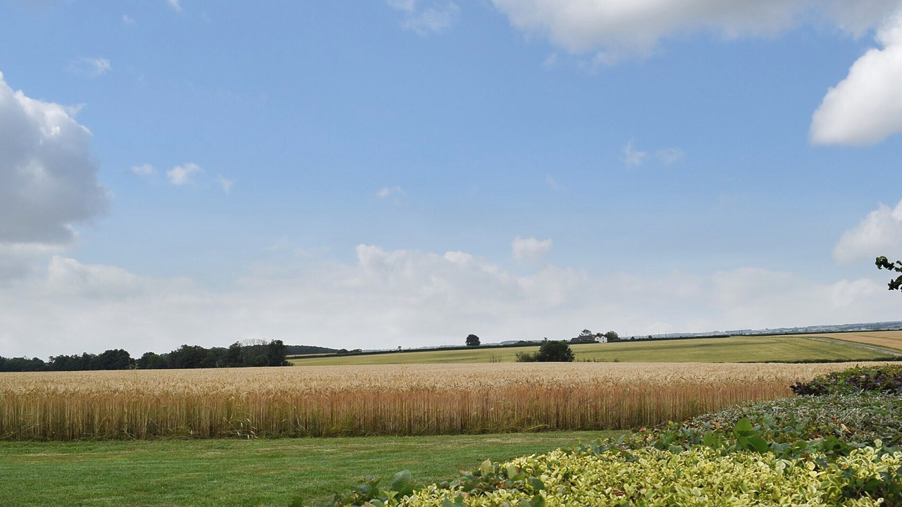 Photo of Others in Clopton