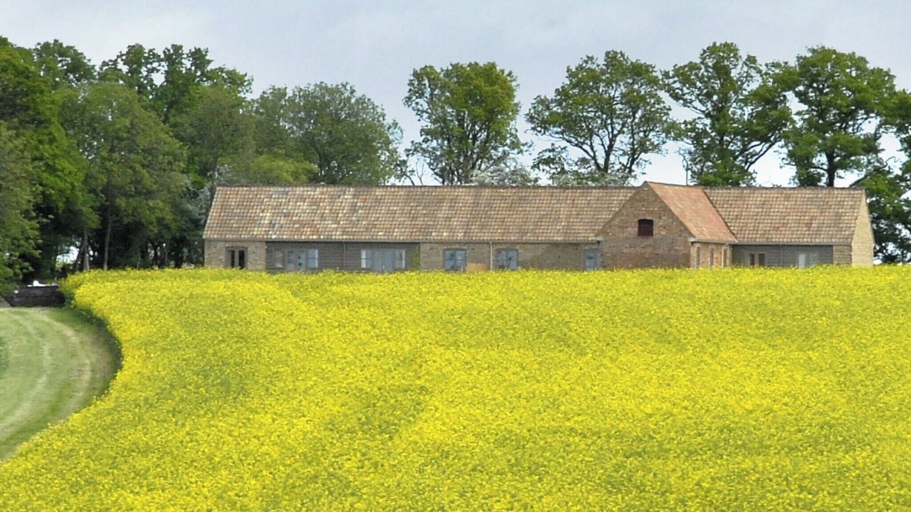 Photo of Outdoor in Clopton