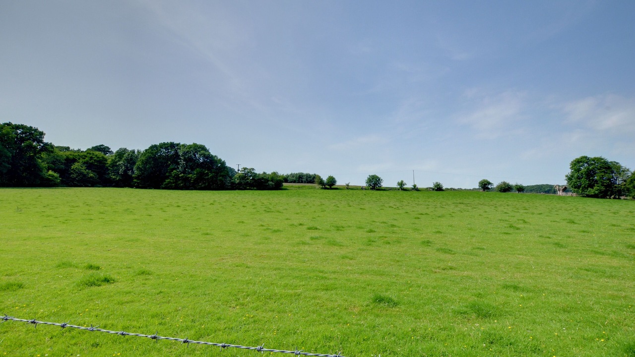 Photo of Outdoor in Cranbrook