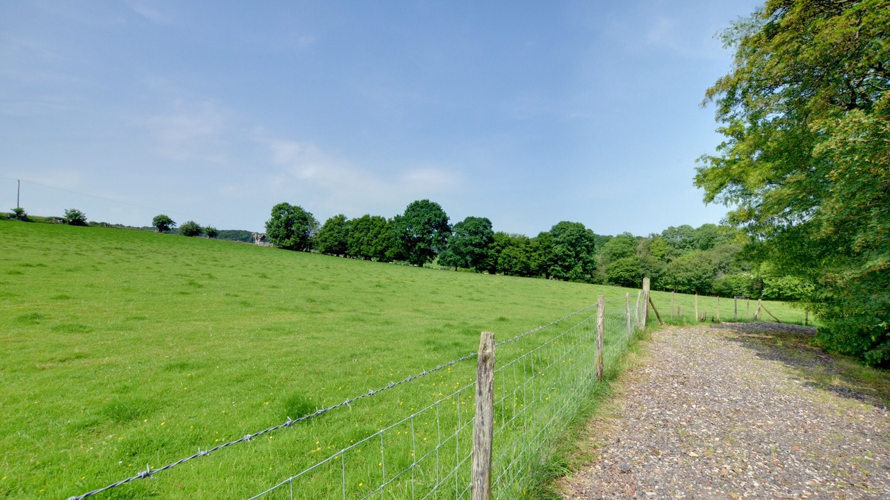 Photo of Outdoor in Cranbrook