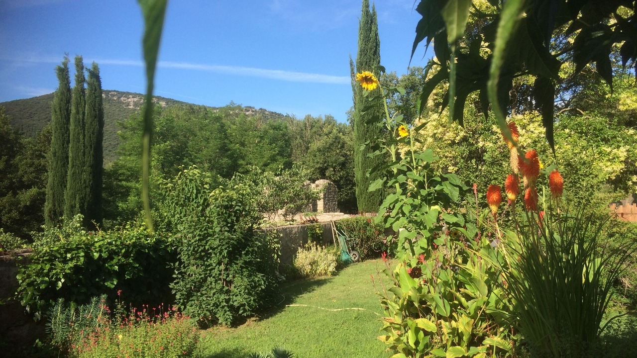 Photo of Outdoor in Sauve