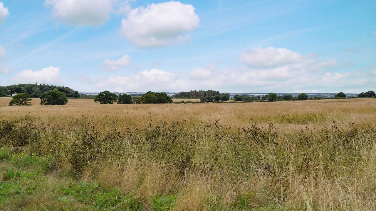 Photo of Others in Clopton