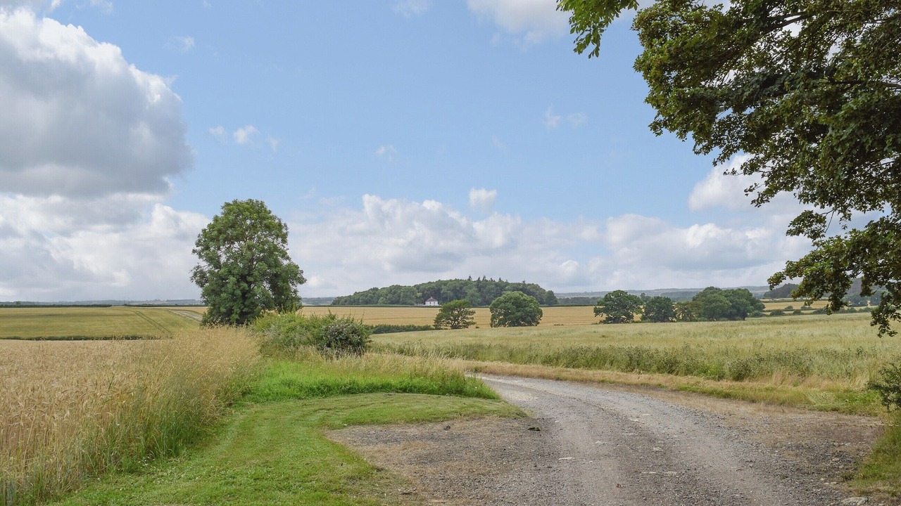 Photo of Others in Clopton