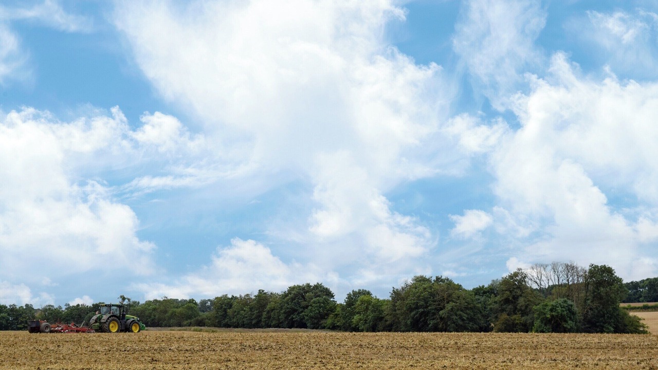 Photo of Others in Clopton