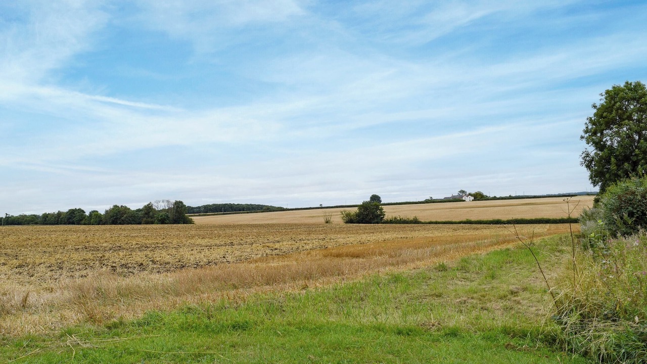 Photo of Others in Clopton