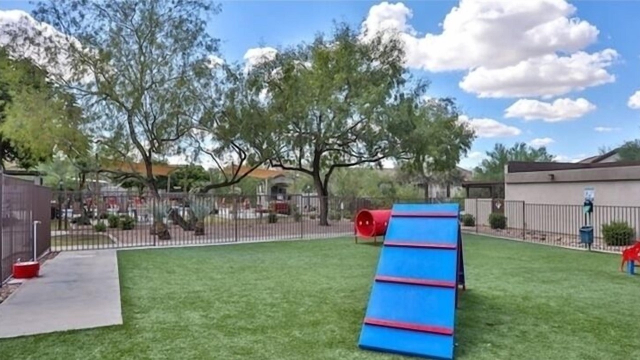 Photo of Others in McDowell Mountain Apartments