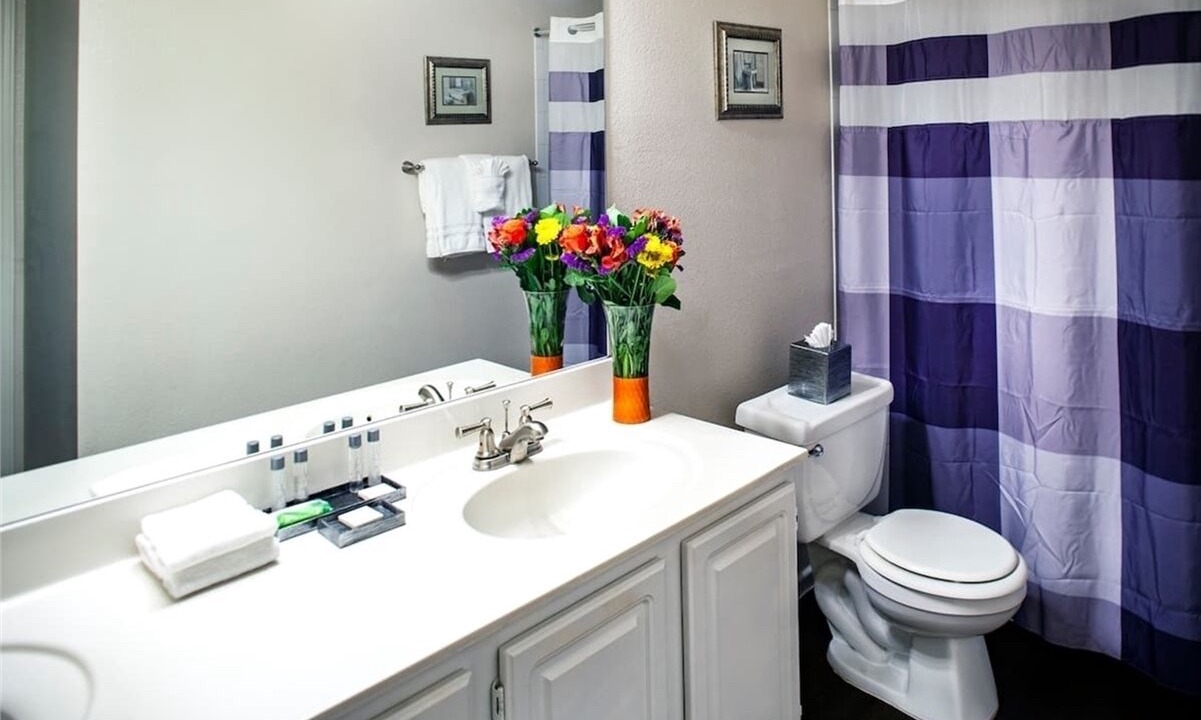 Photo of Bathroom in McDowell Mountain Apartments