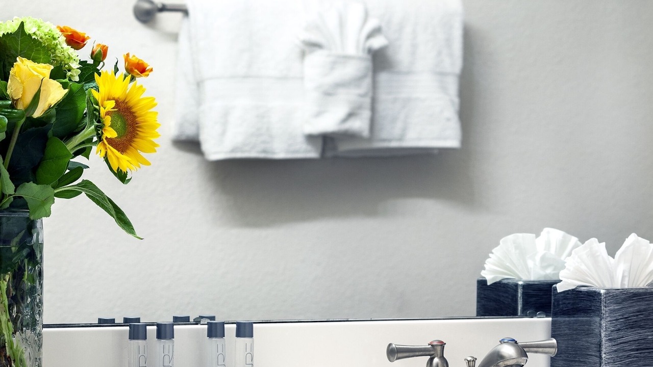 Photo of Bathroom in McDowell Mountain Apartments
