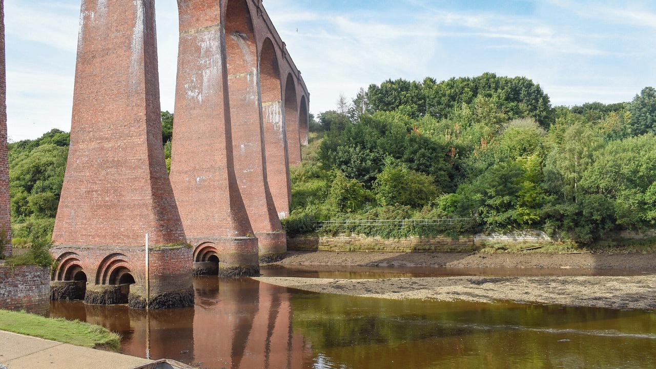 Photo of Others in Ruswarp