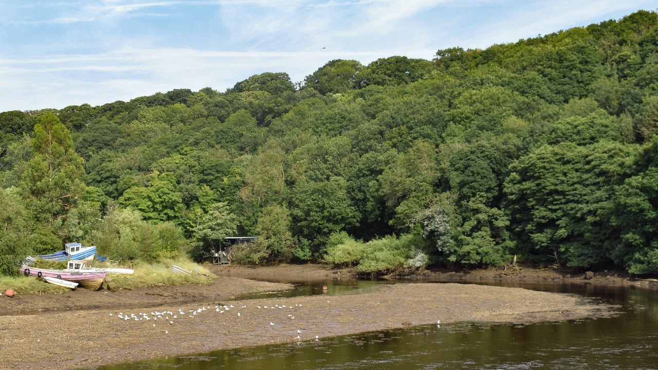 Photo of Others in Ruswarp