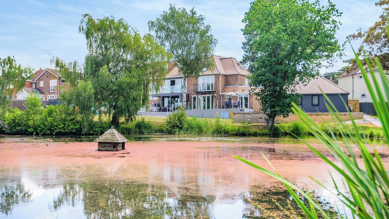 Photo of Others in Hill Head