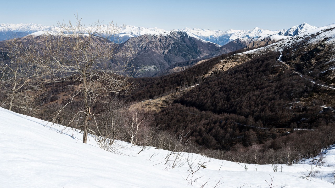 Photo of Others in Caslano