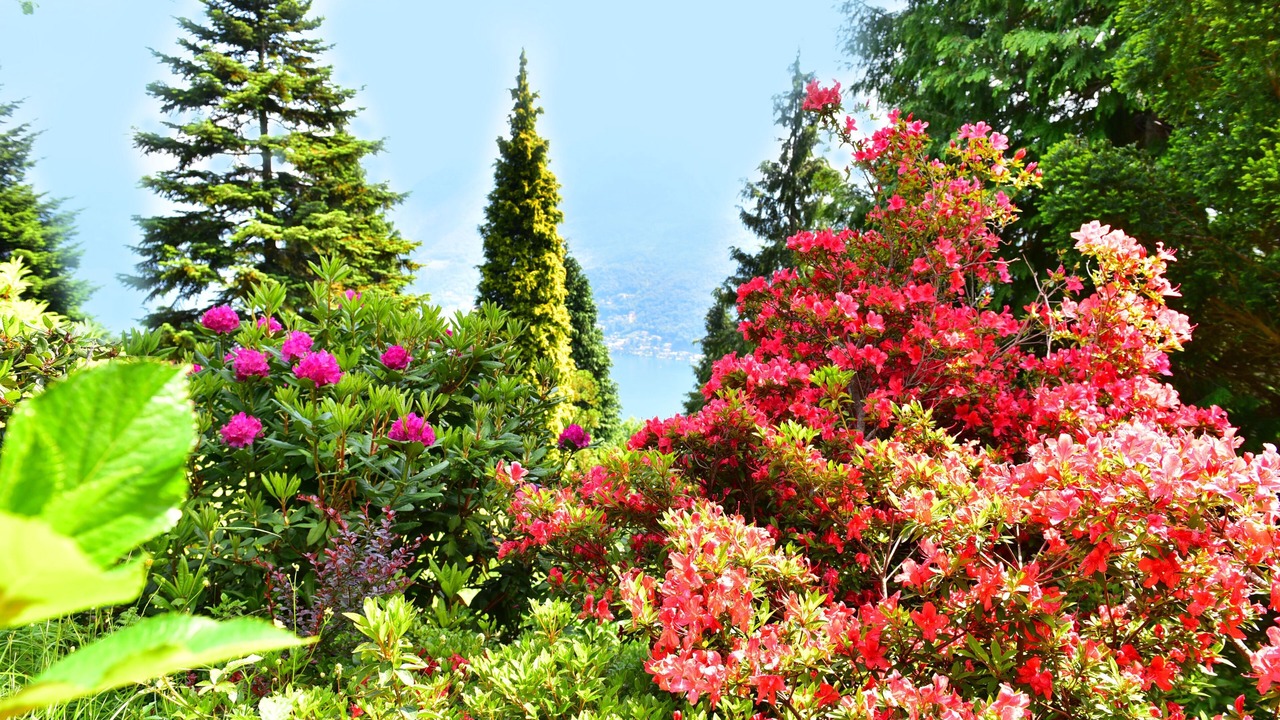 Photo of Outdoor in Caslano
