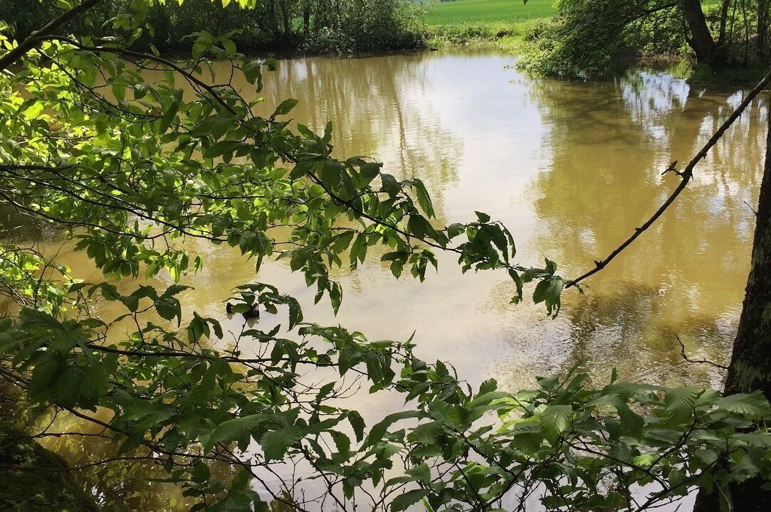 Photo of Outdoor in Domfront-en-Champagne