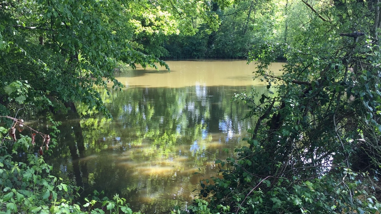 Photo of Outdoor in Domfront-en-Champagne