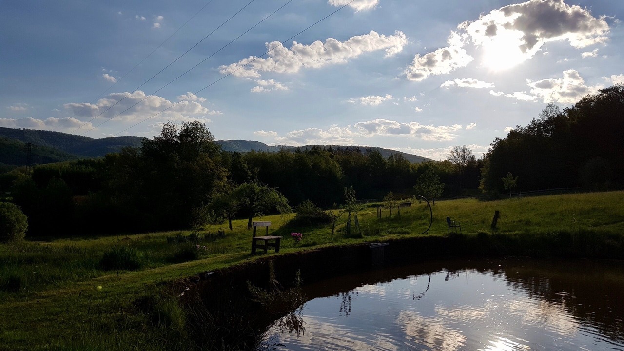 Photo of Others in Ronchamp