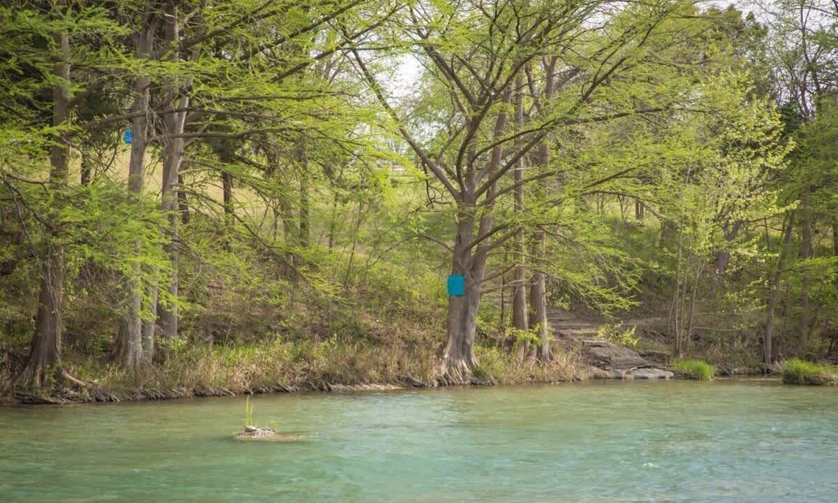 Photo of Others in New Braunfels