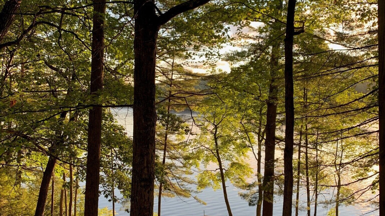 Photo of Others in Harrison