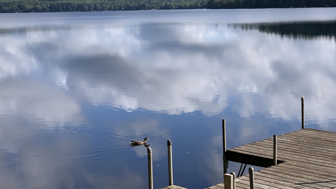 Photo of Others in Harrison