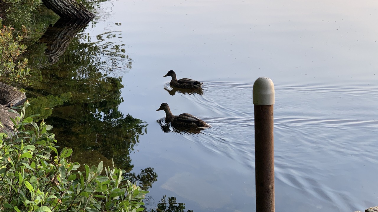 Photo of Others in Harrison