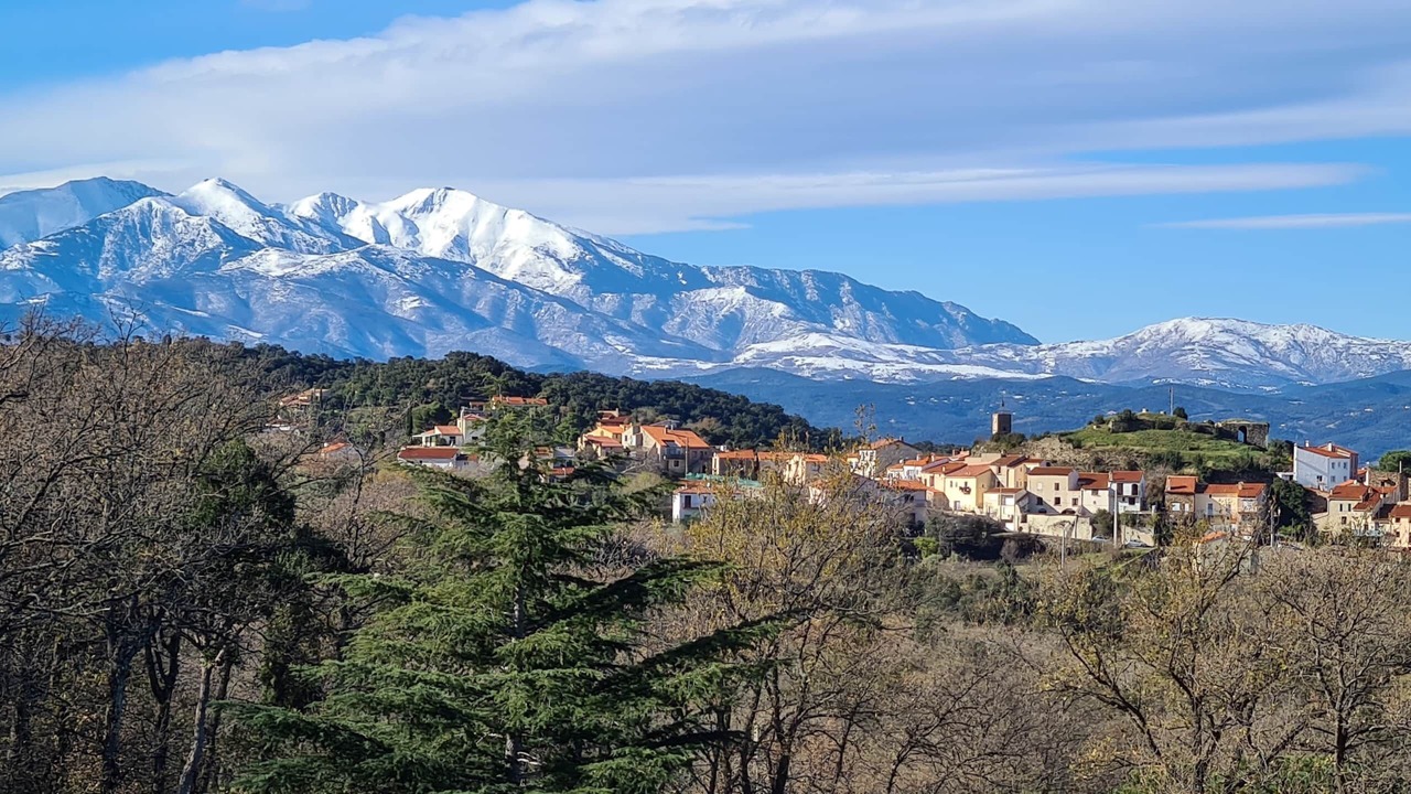 Photo of Others in Montesquieu-des-Alberes