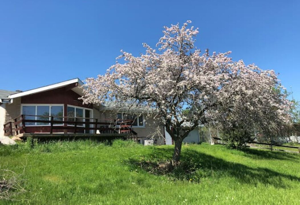 Photo of Outdoor in Trent Hills