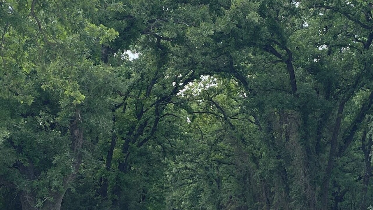 Photo of Others in Whitney