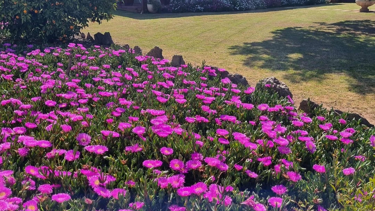 Photo of Outdoor in Narromine