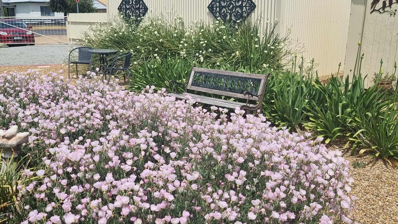 Photo of Outdoor in Narromine