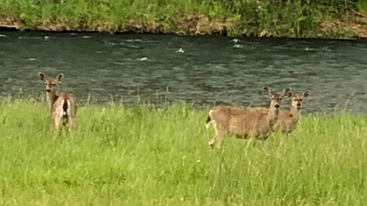 Photo of Others in Eagle Point