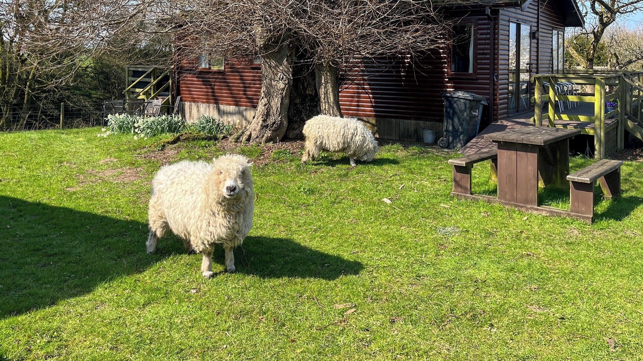 Photo of Outdoor in Congleton