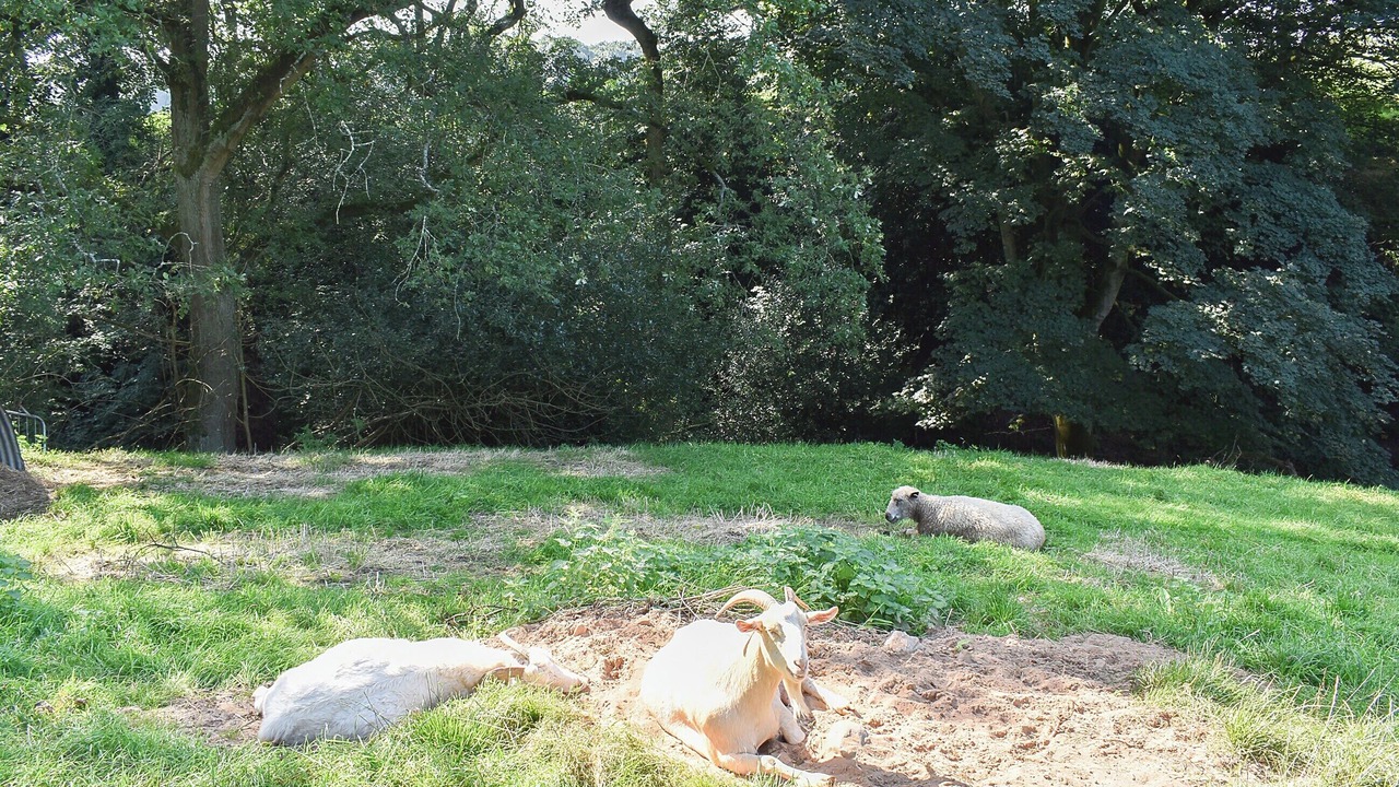 Photo of Outdoor in Congleton