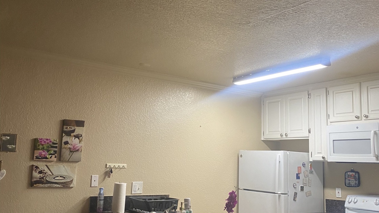 Photo of Others in Stockton