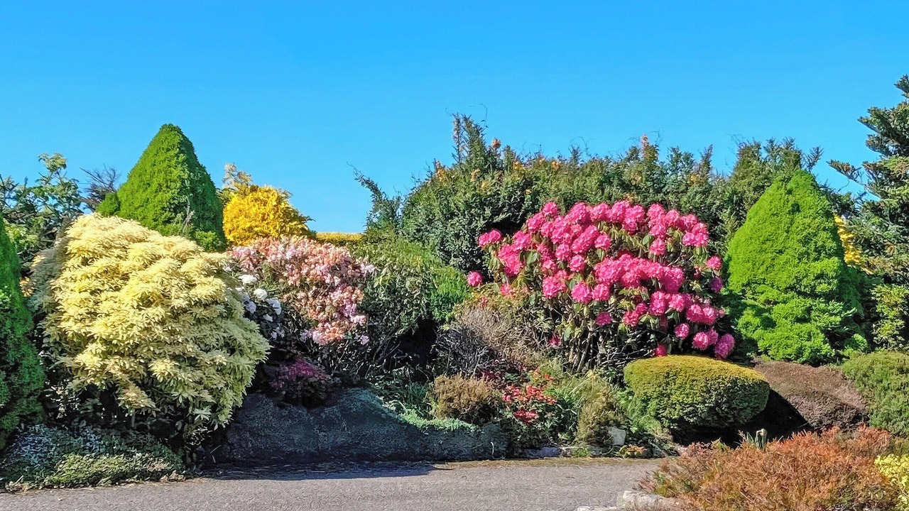 Photo of Outdoor in Stonehaven