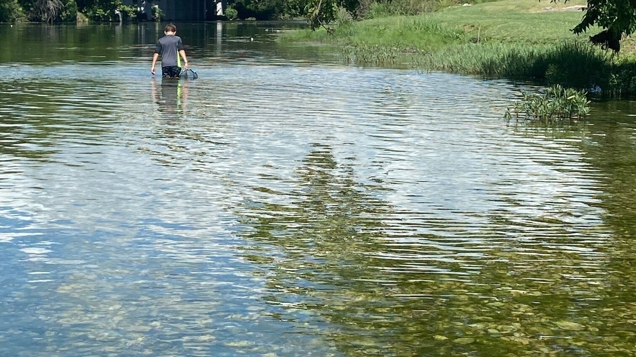 Photo of Others in Salado