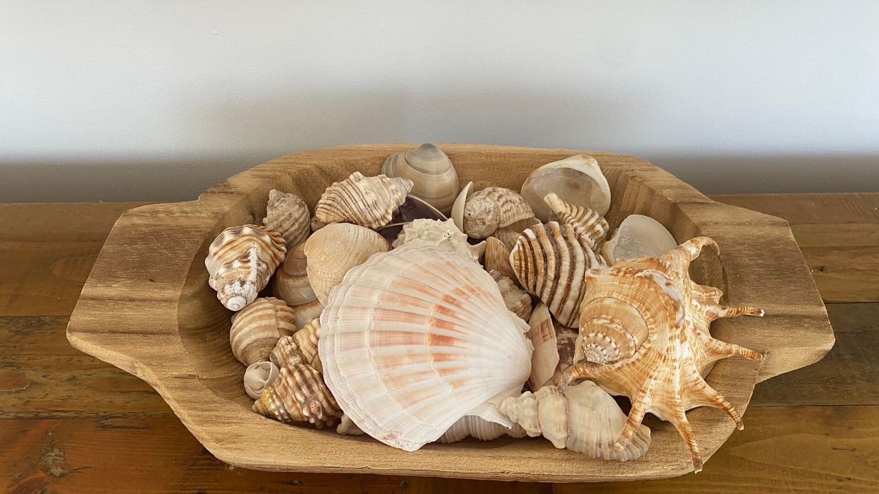 Photo of Others in Manyana