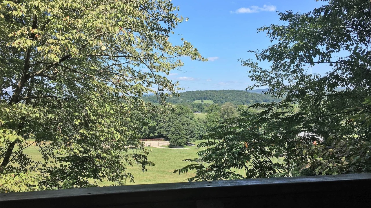 Photo of Outdoor in Sparta