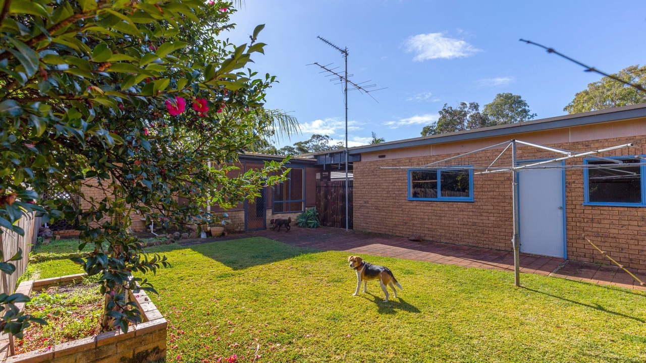 Photo of Outdoor in Hawks Nest