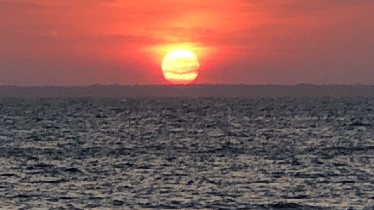 Photo of Others in Fire Island Pines