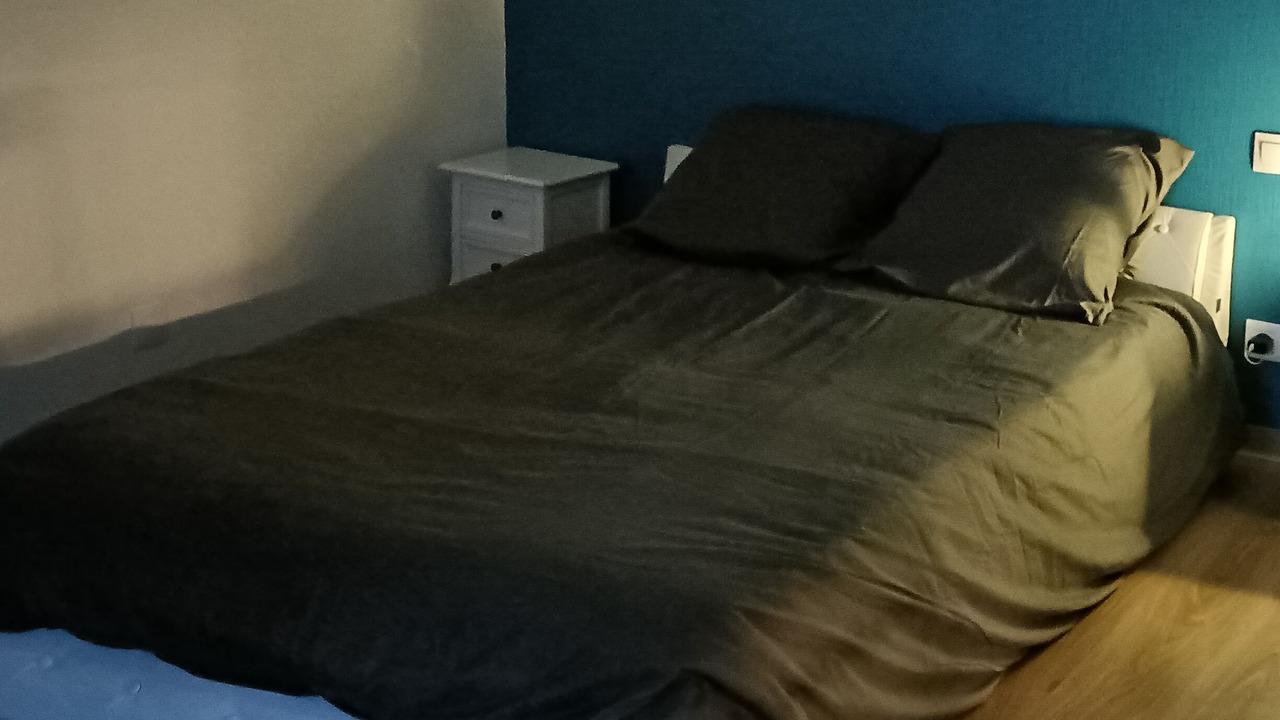 Photo of Bedroom in Montournais