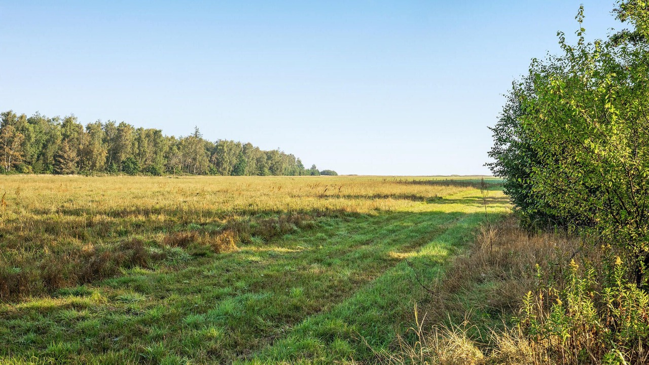 Photo of Bedroom in Udbyhøj
