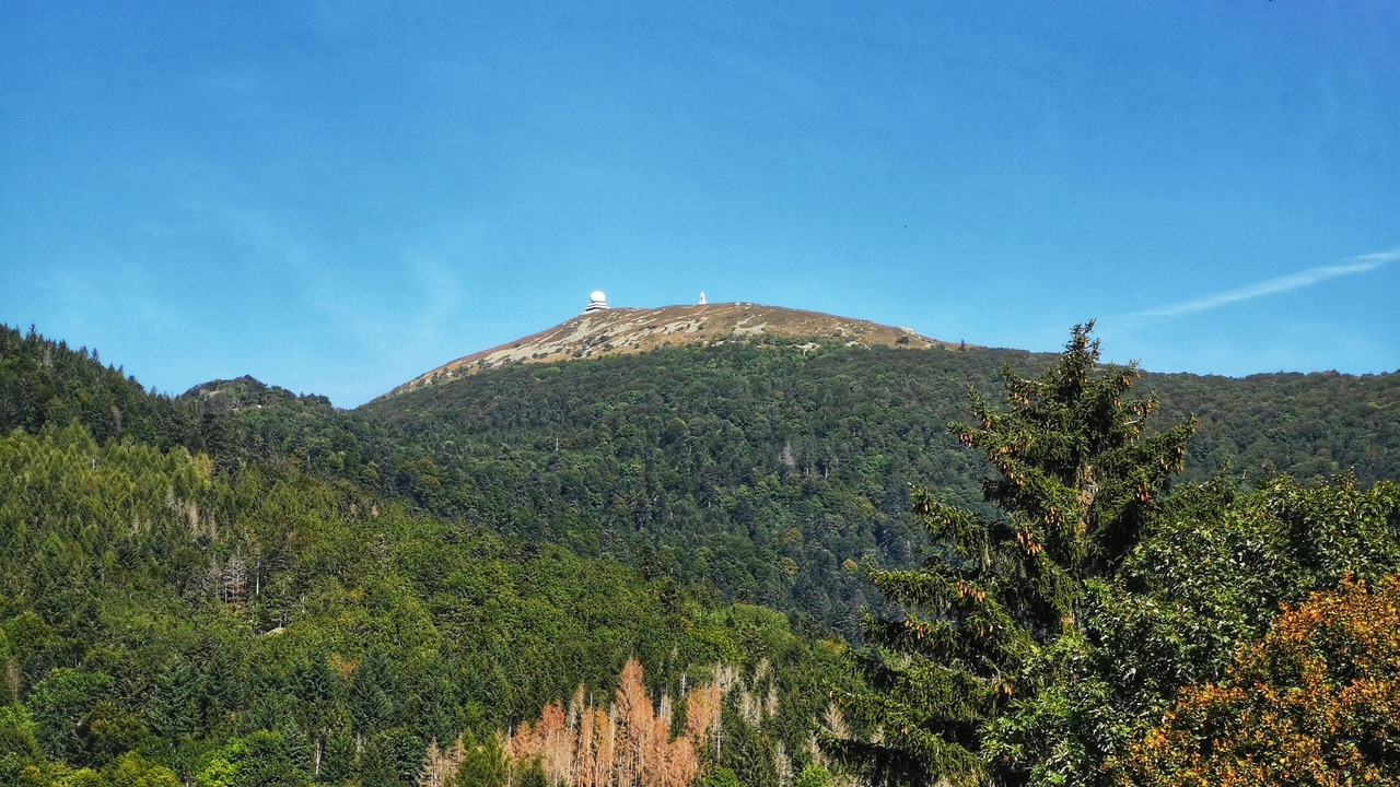 Photo of Others in Altenbach