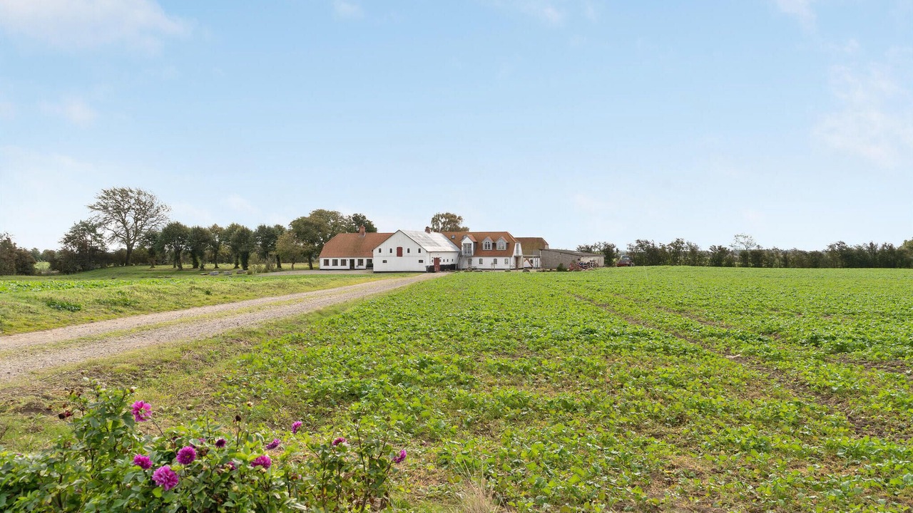 Photo of Others in Nordborg